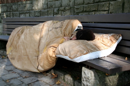SNURK Studio: Cardboard Comfort